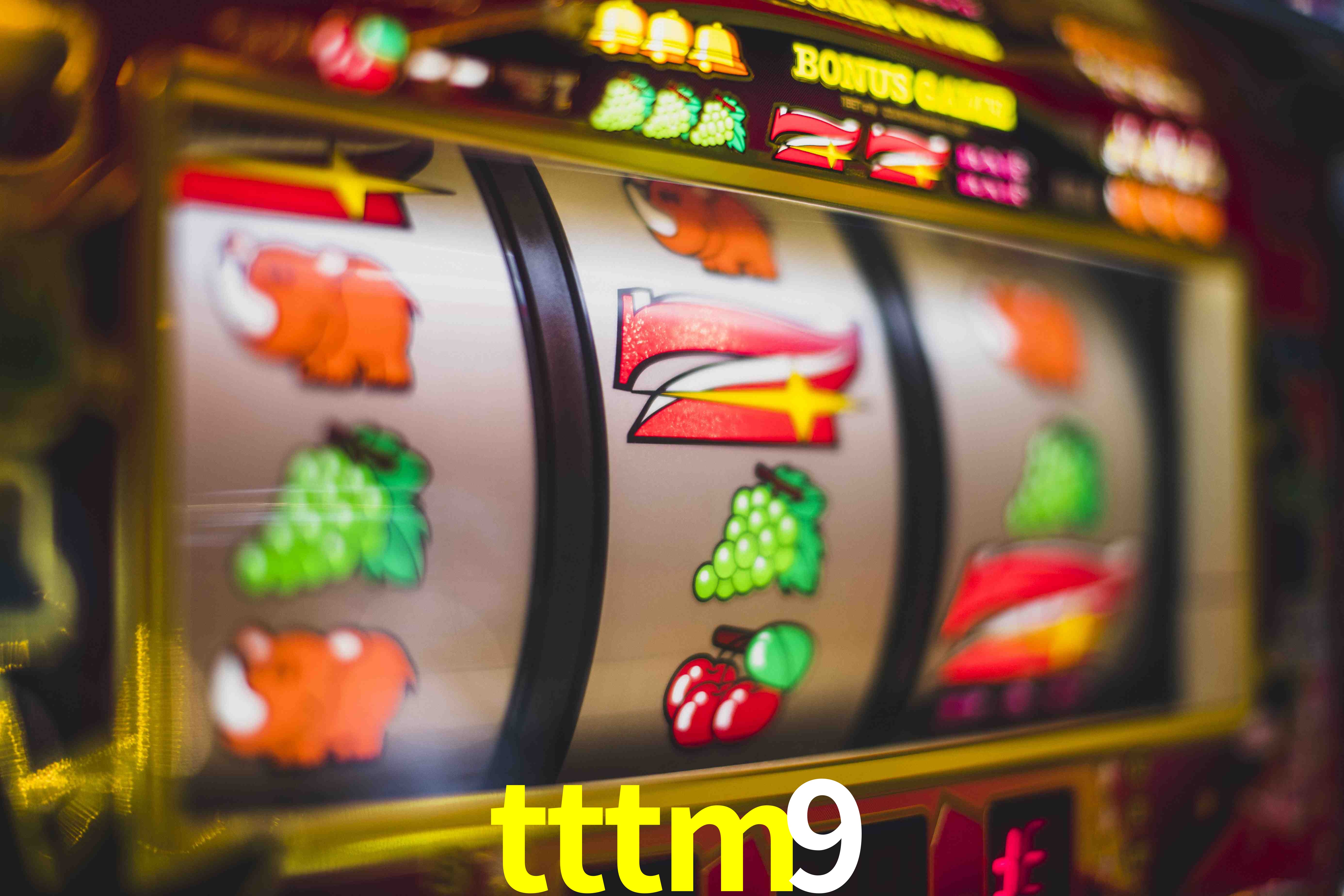 Tennis Betting tttm9